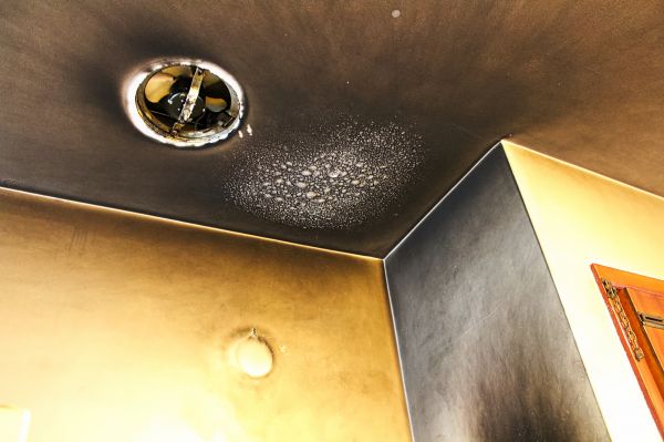 Cost of Smoke Damage Remediation in Cedar Park